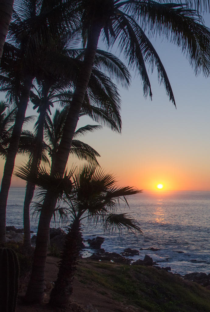 sunrise (1 of 1).jpg
