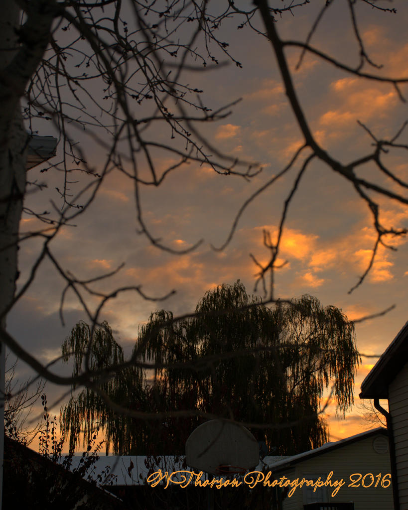 Sunrise 11-30-2016.jpg