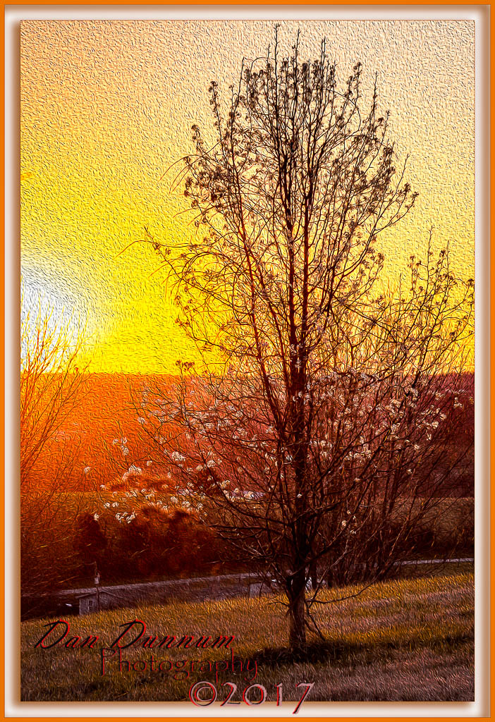 Sunrise-1365-Edit.jpg