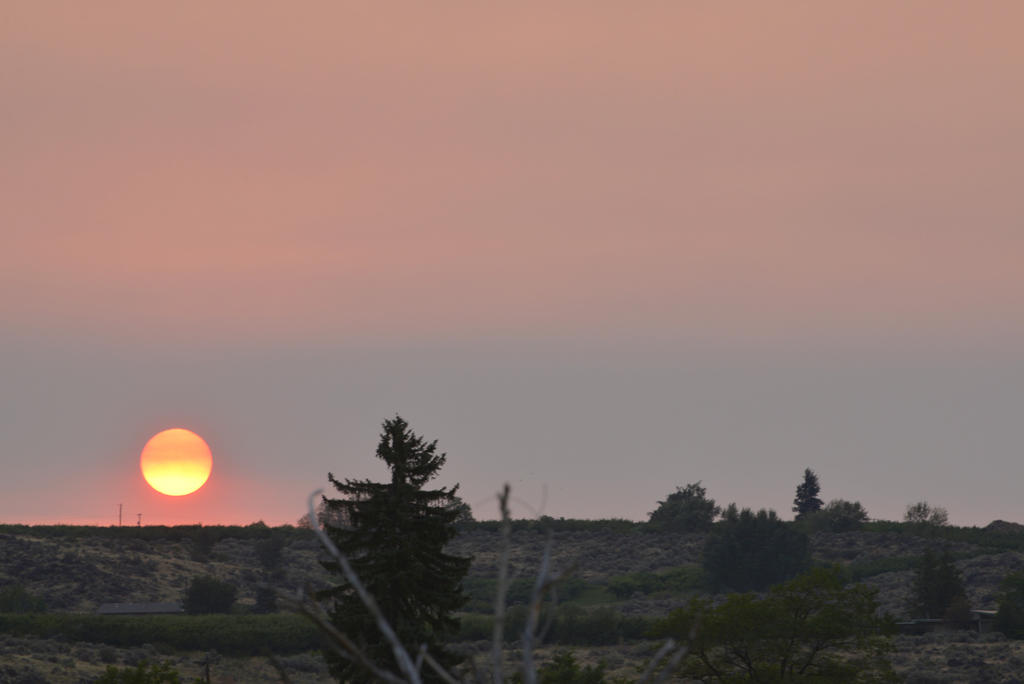 SUNRISE 139.jpg