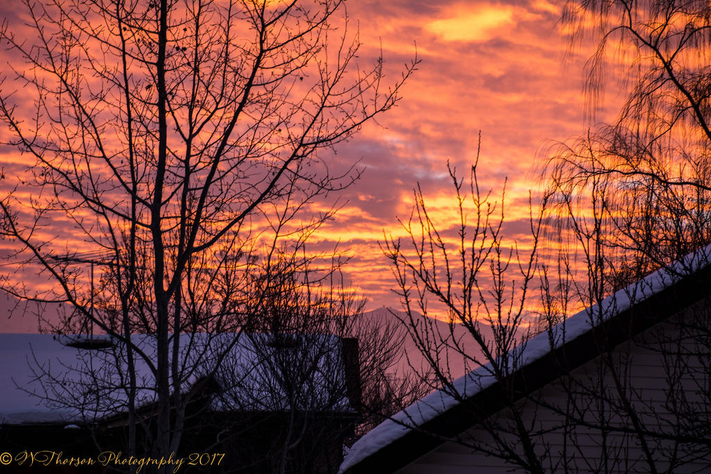 Sunrise 2-1-2017.jpg