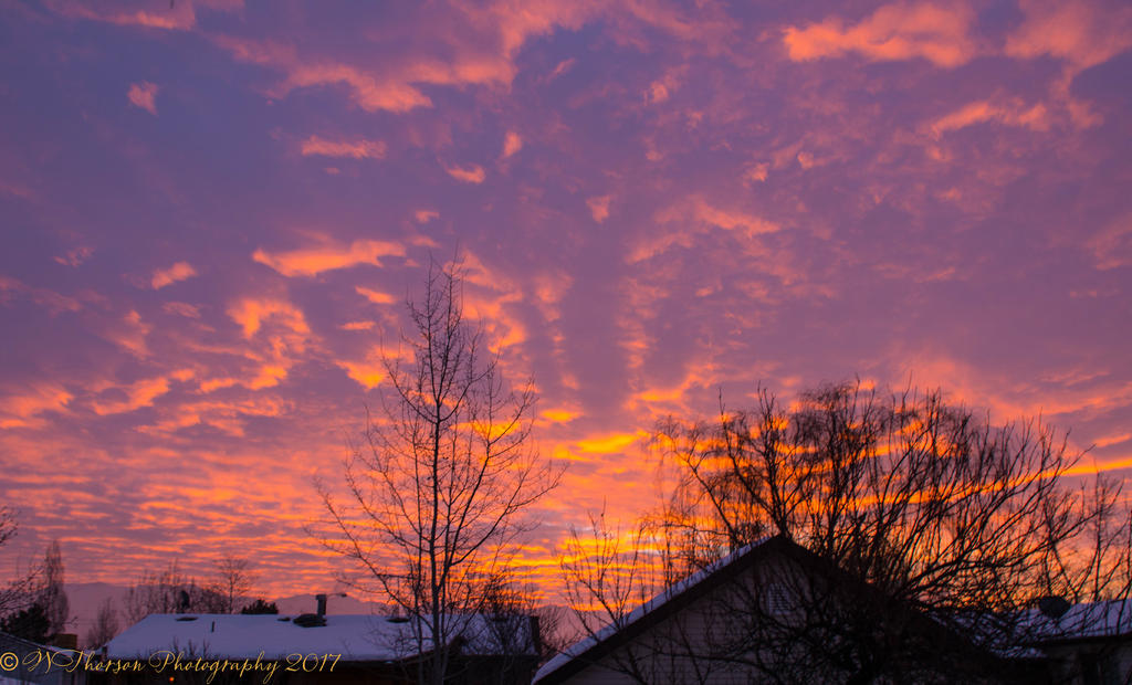 Sunrise #2 2-1-2017.jpg