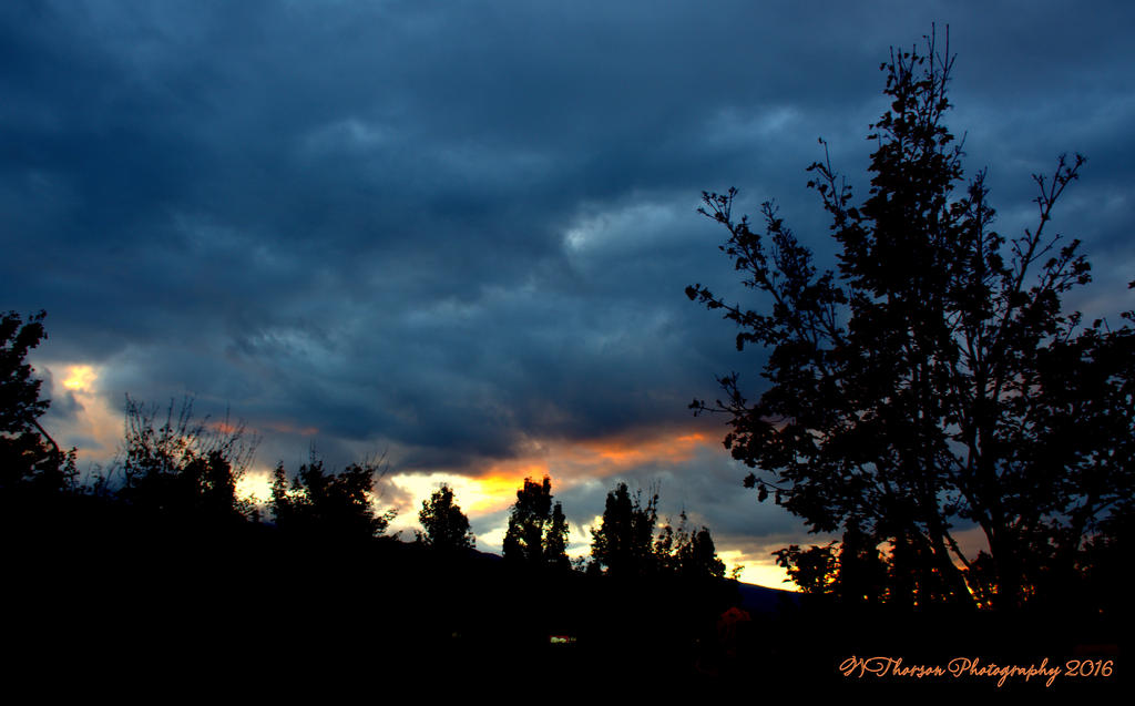 Sunrise #3 10-25-2016.jpg