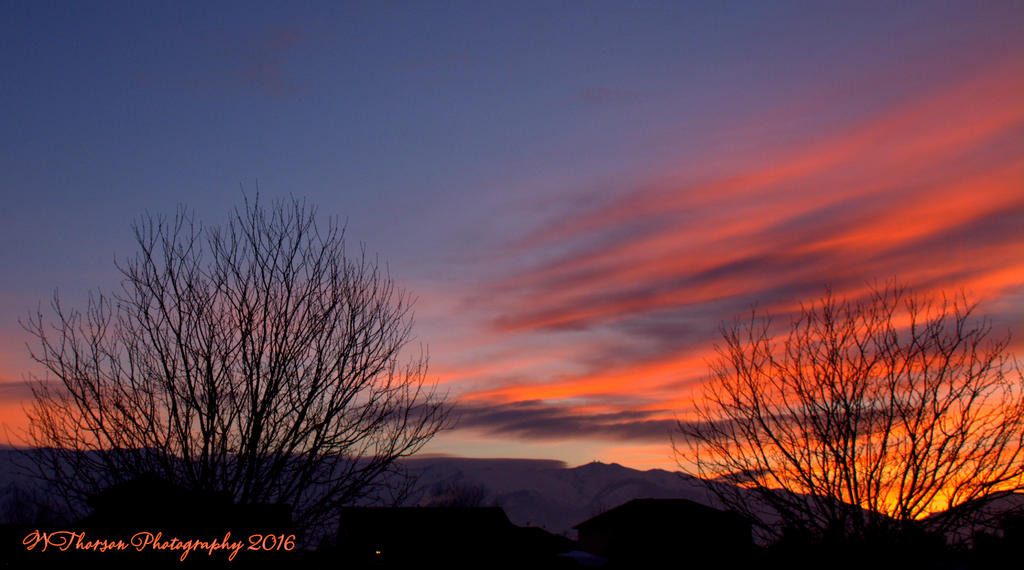Sunrise #3 12-20-2016.jpg