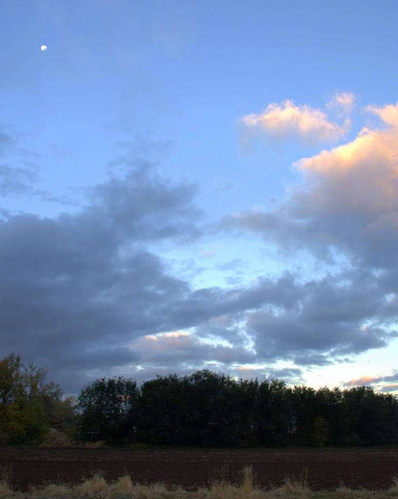 Sunrise #4 10-19-2016.jpg