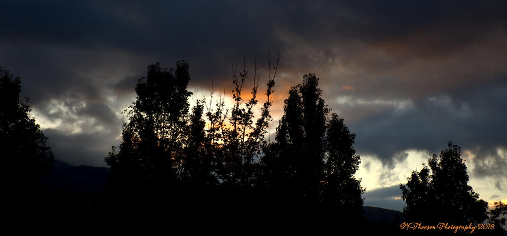 Sunrise #4 10-25-2016.jpg