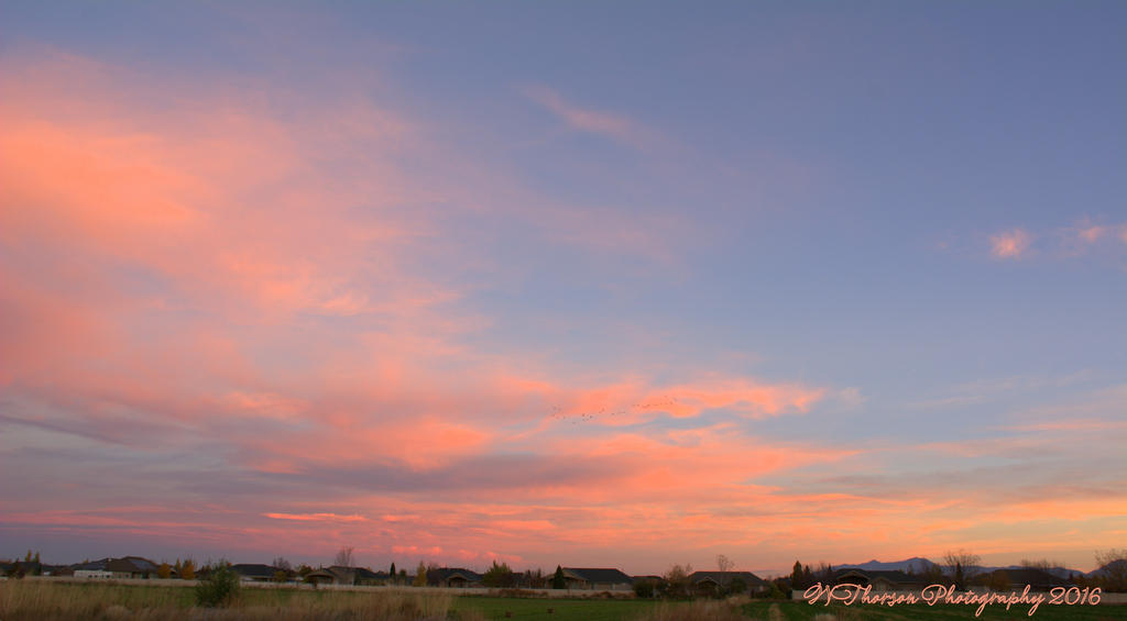 Sunrise #4 10-27-2016.jpg