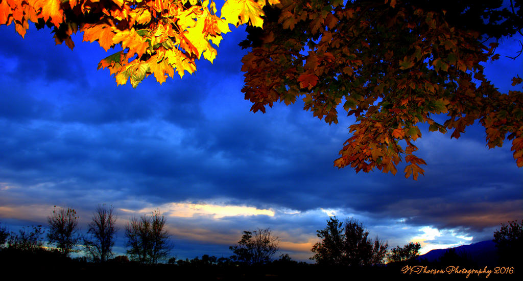 Sunrise #6 10-25-2016.jpg