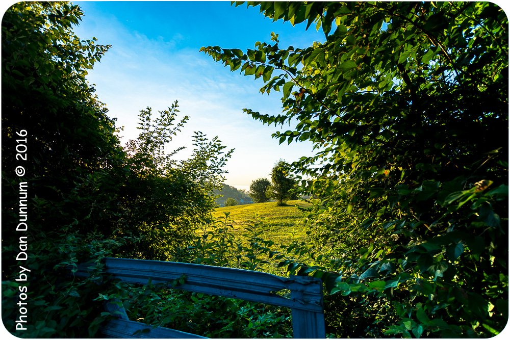 sunrise-9400.jpg