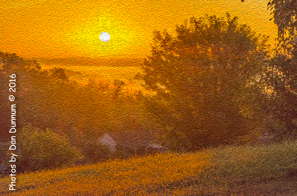 Sunrise and Fog-4227-Edit.jpg
