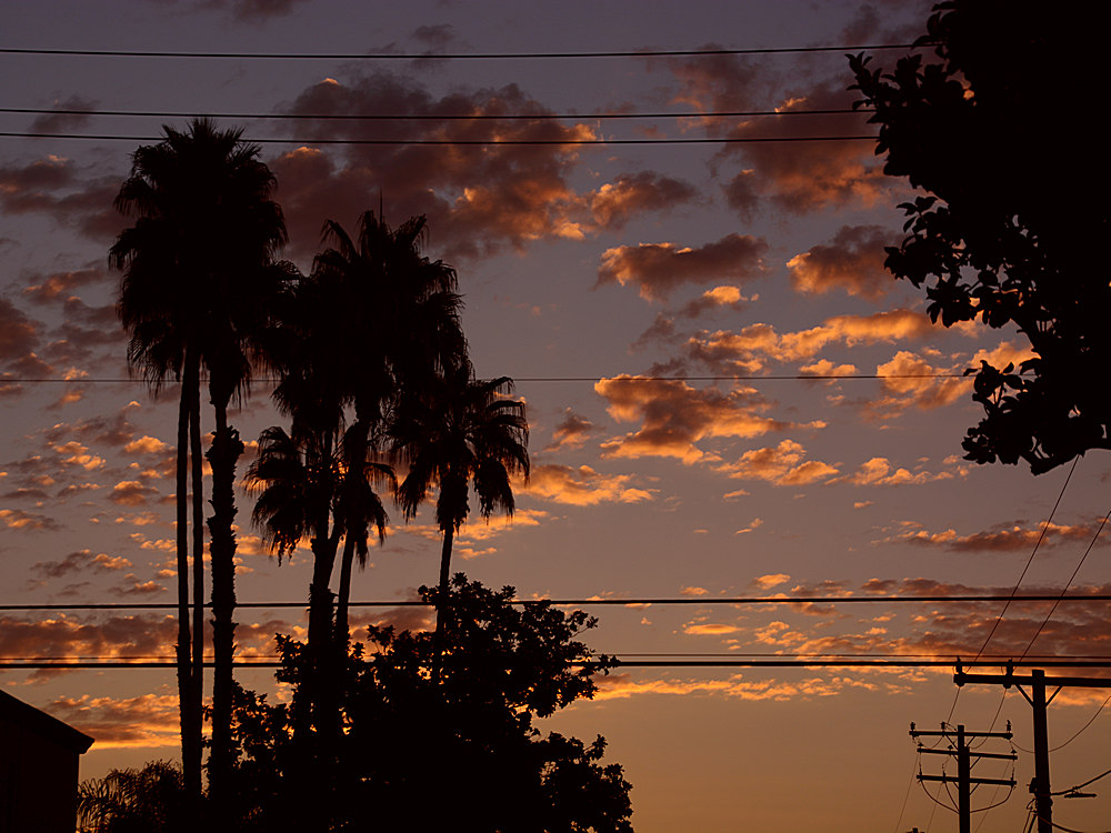 Sunrise.jpg