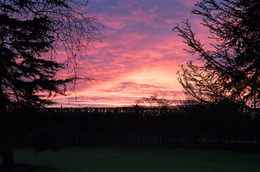 Sunrise.jpg