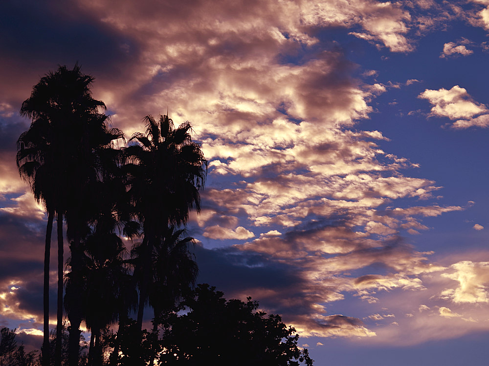 Sunrise.jpg