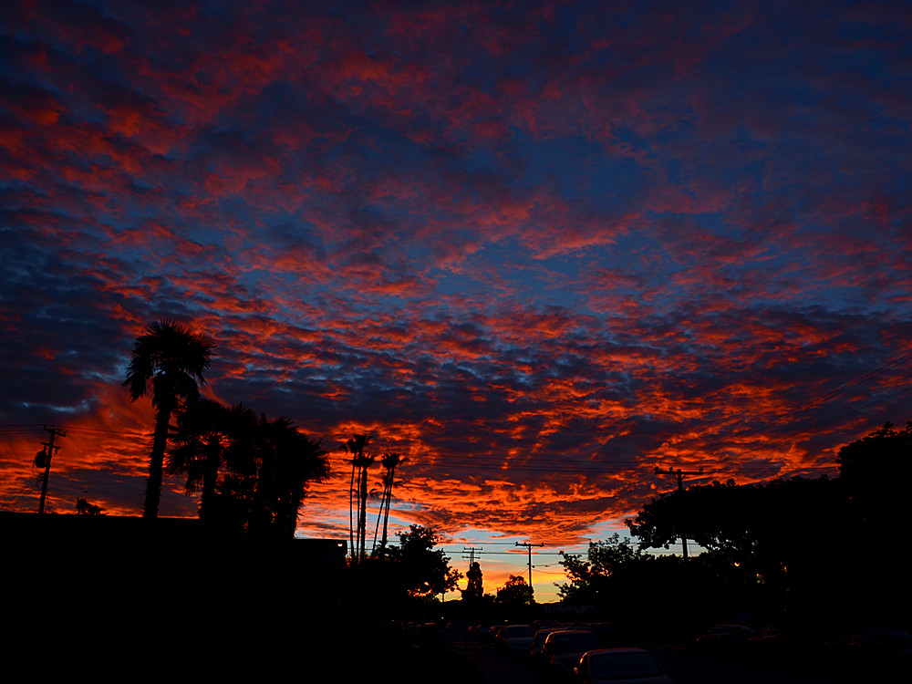 Sunrise.jpg