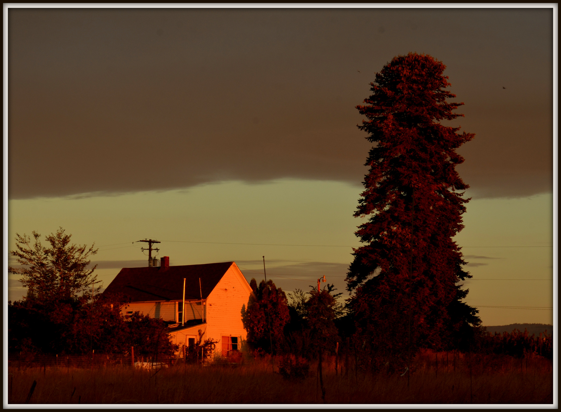 sunrise l 120.JPG