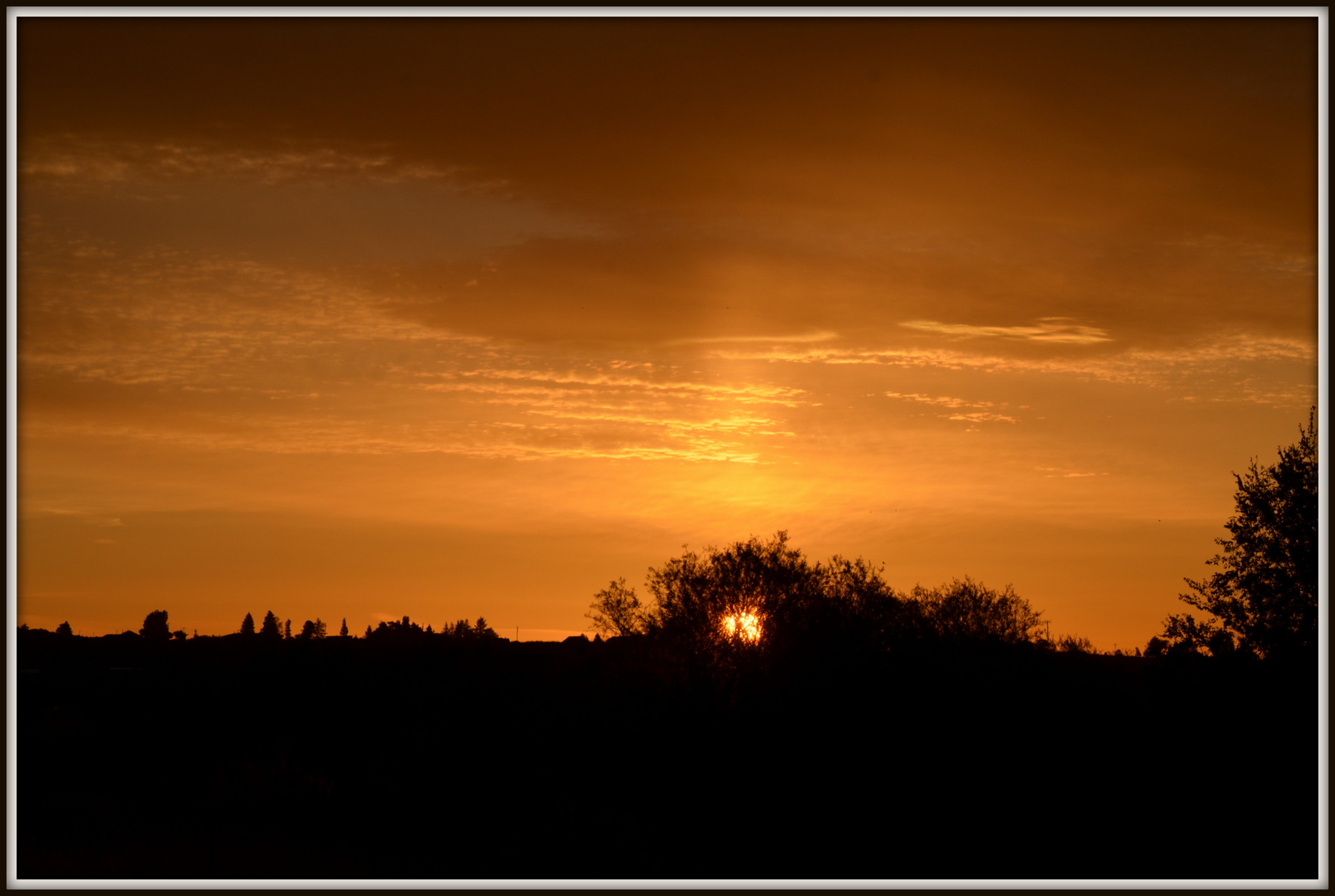 sunrise l 143.JPG