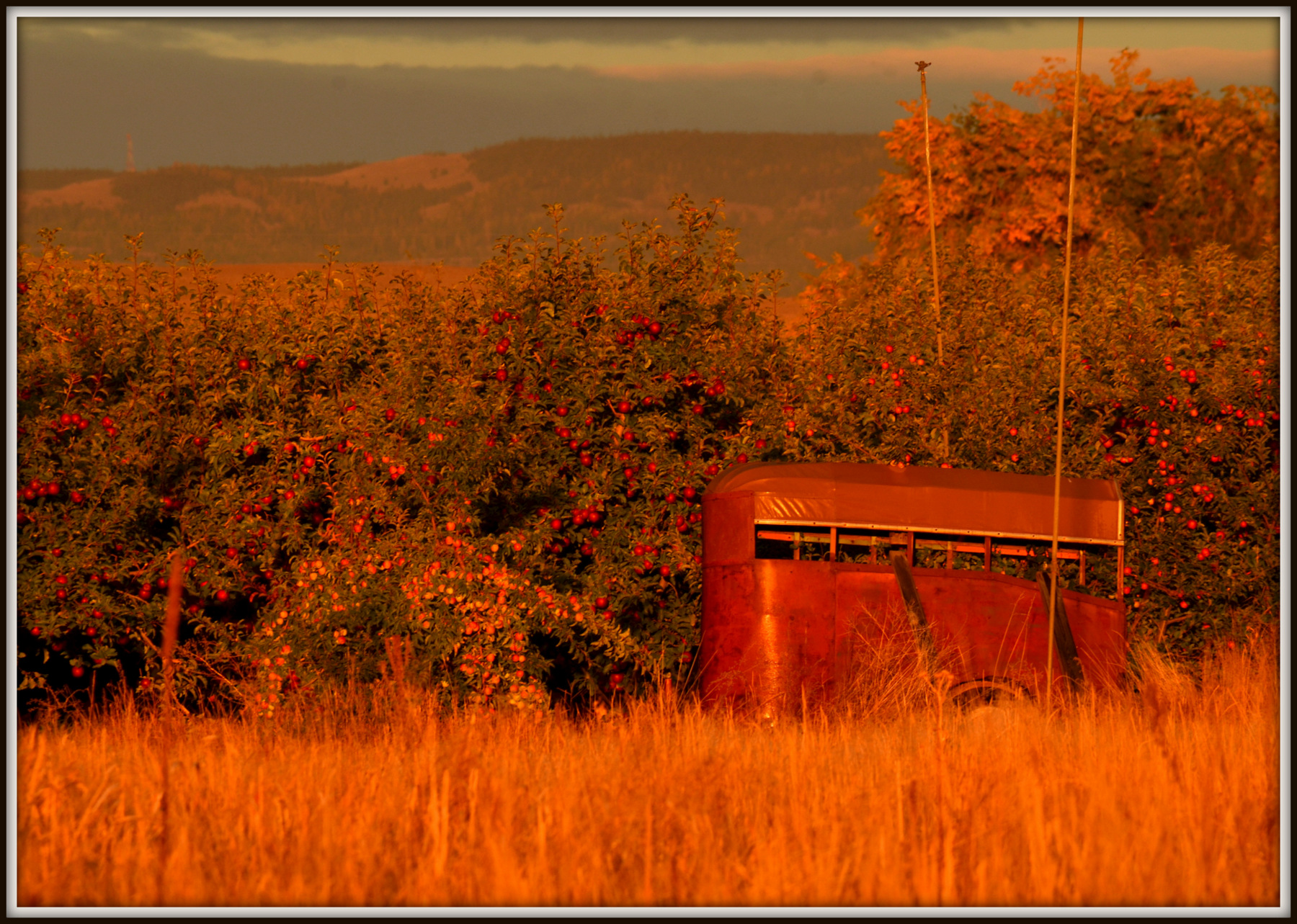 sunrise l 201.JPG