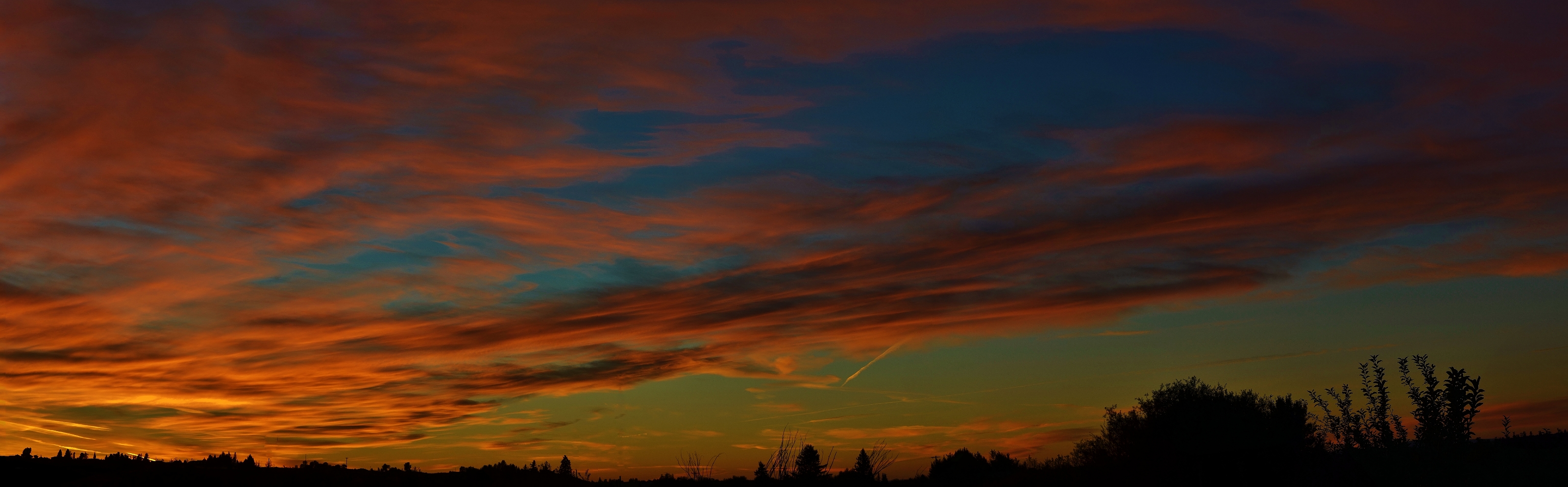 SUNRISE S 051 Stitch (3200x995).jpg