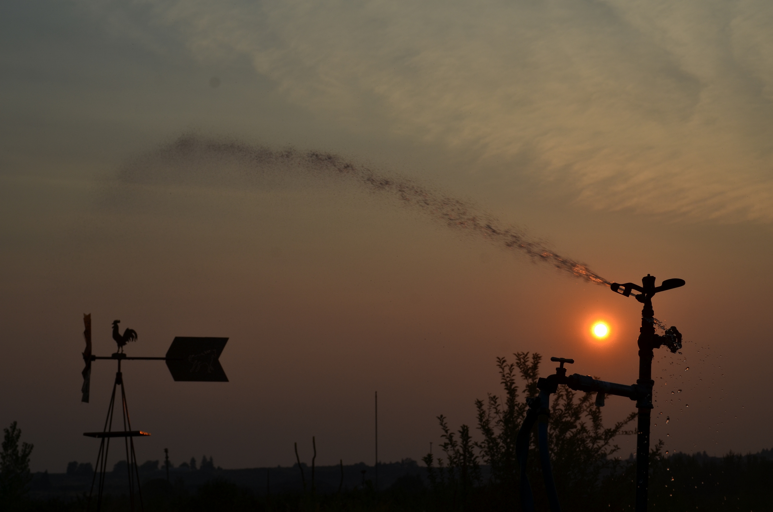 sunrise s 188 (2500x1656).jpg
