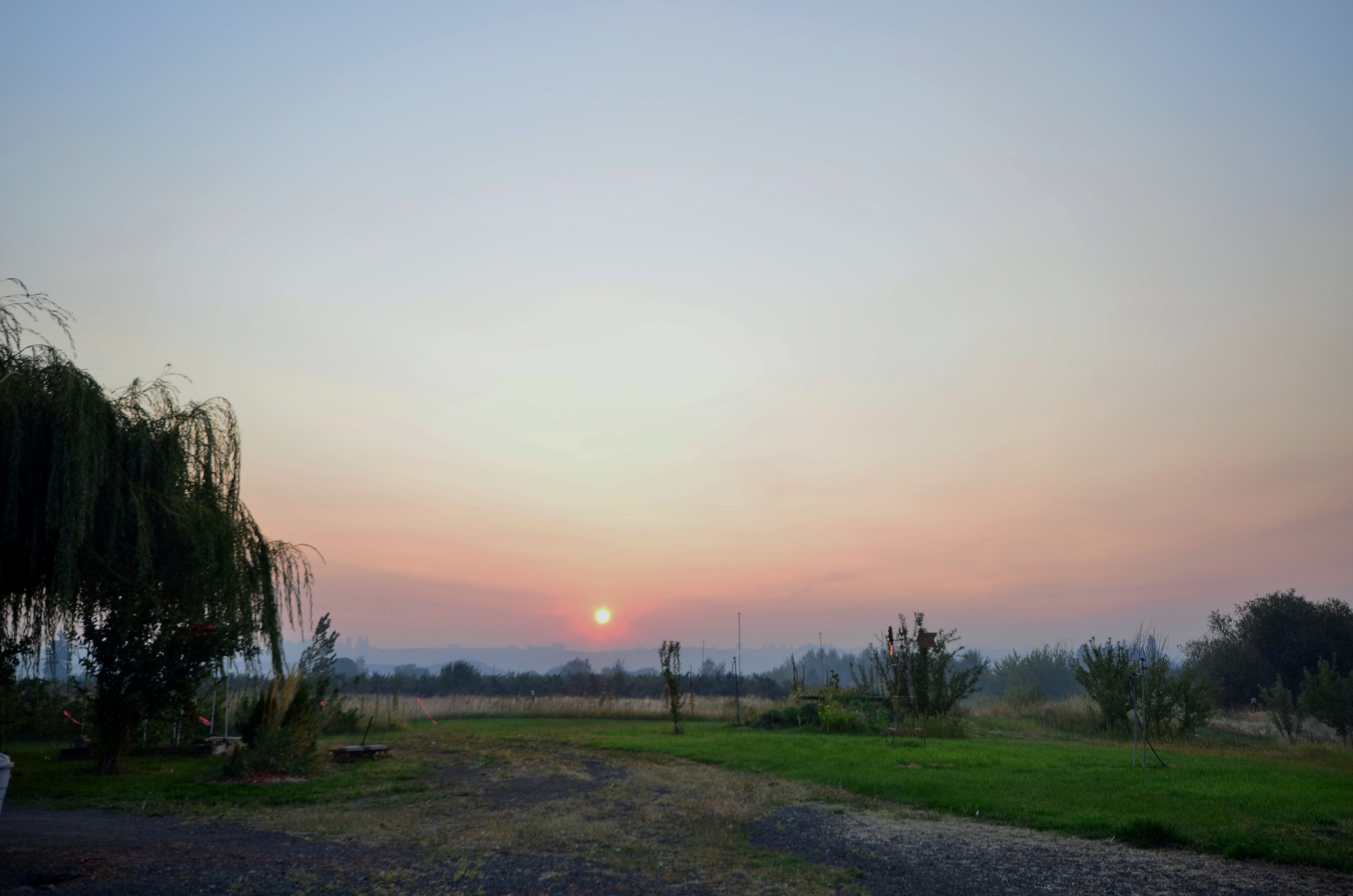 sunrise ss 018 (2500x1656).jpg