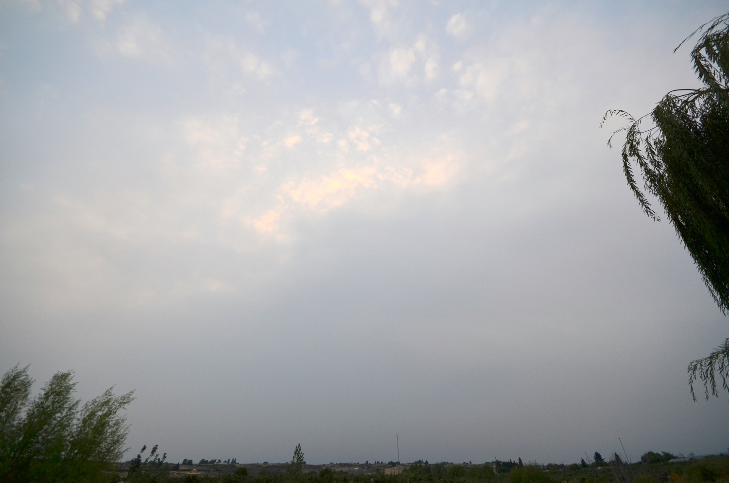 sunrise w 011-001 (1500x994).jpg