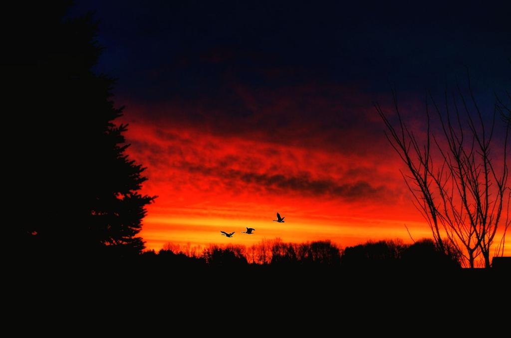 sunrise1200.jpg