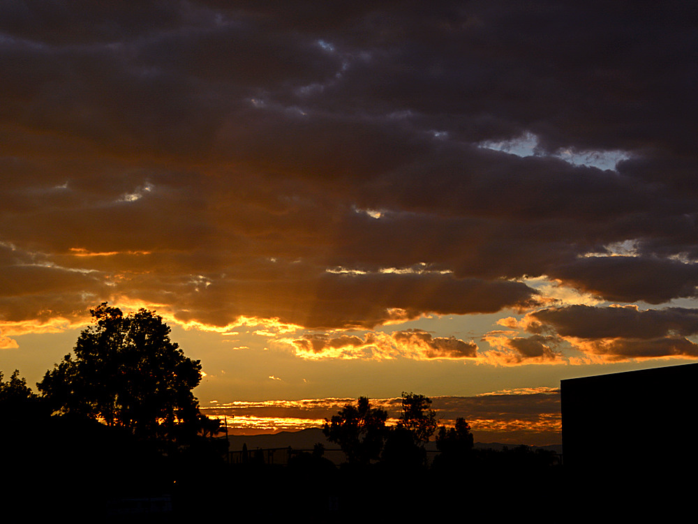 Sunrise4.jpg