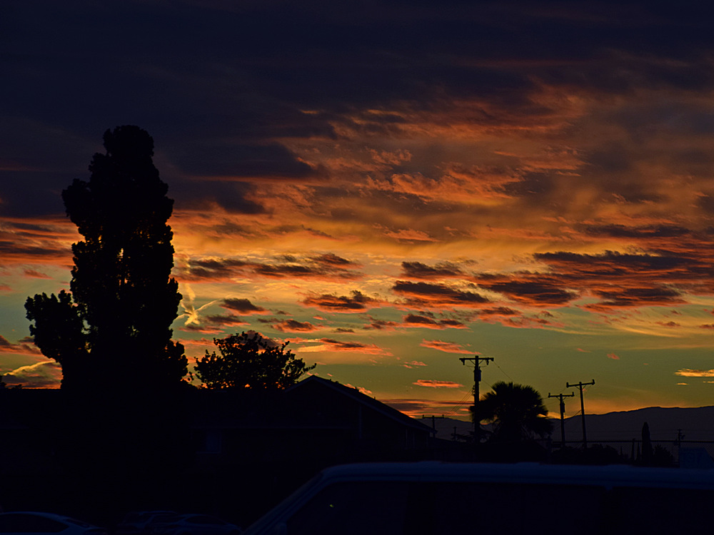 Sunrise8.jpg