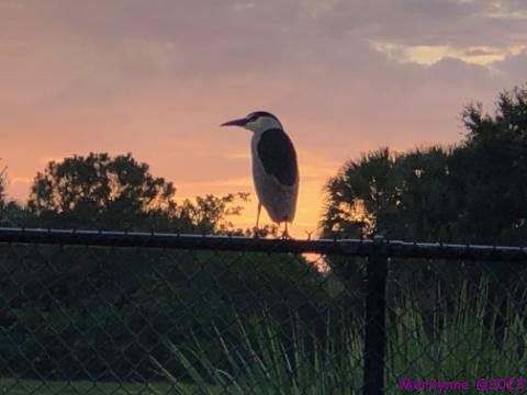 Sunrise_001_01.JPG