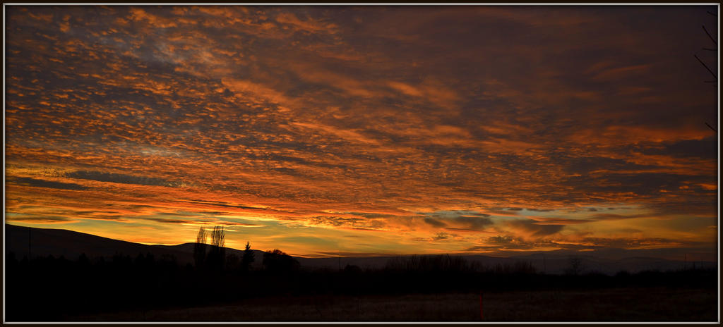SUNSET 031.jpg