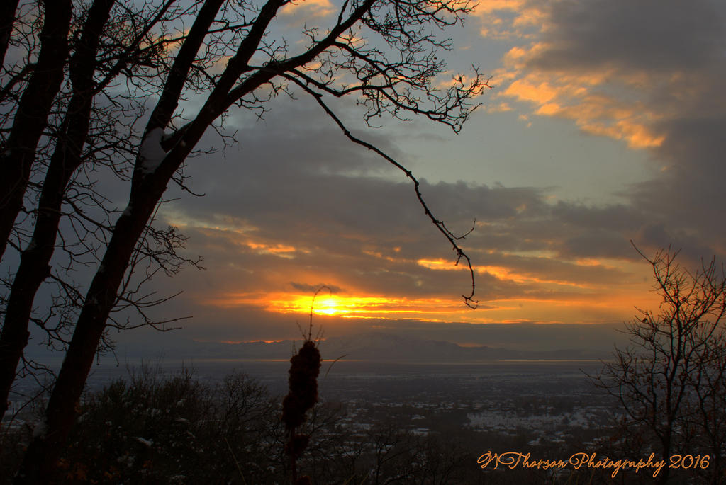 Sunset #1 12-1-2016.jpg