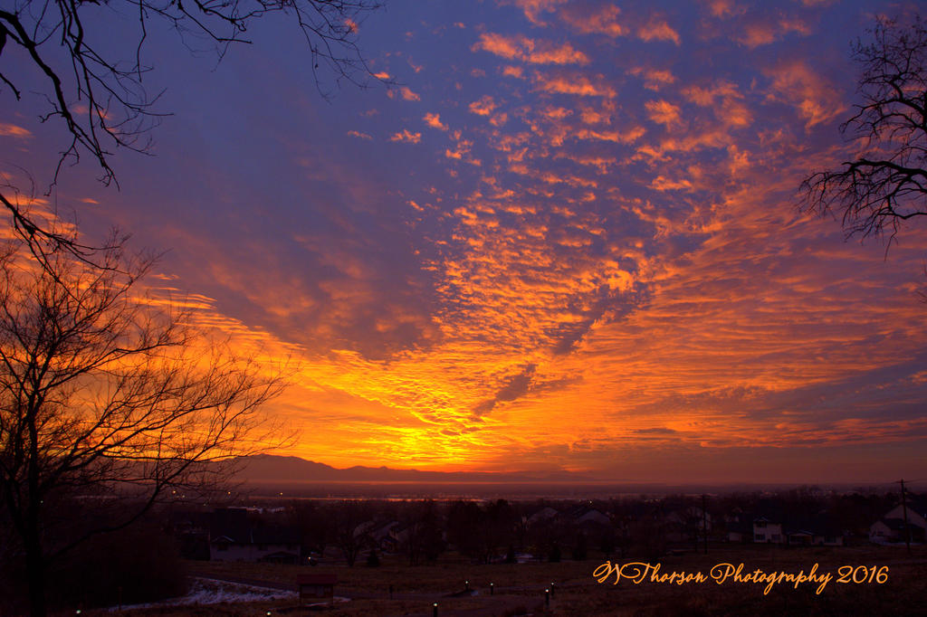 Sunset #1 12-20-2016.jpg