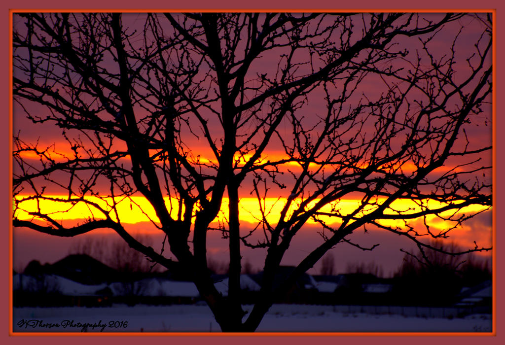 Sunset 1-16-2016.jpg