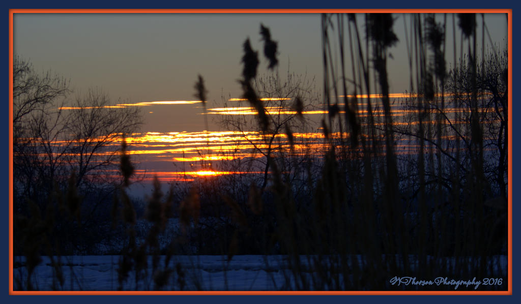 Sunset 1-28-2016.jpg