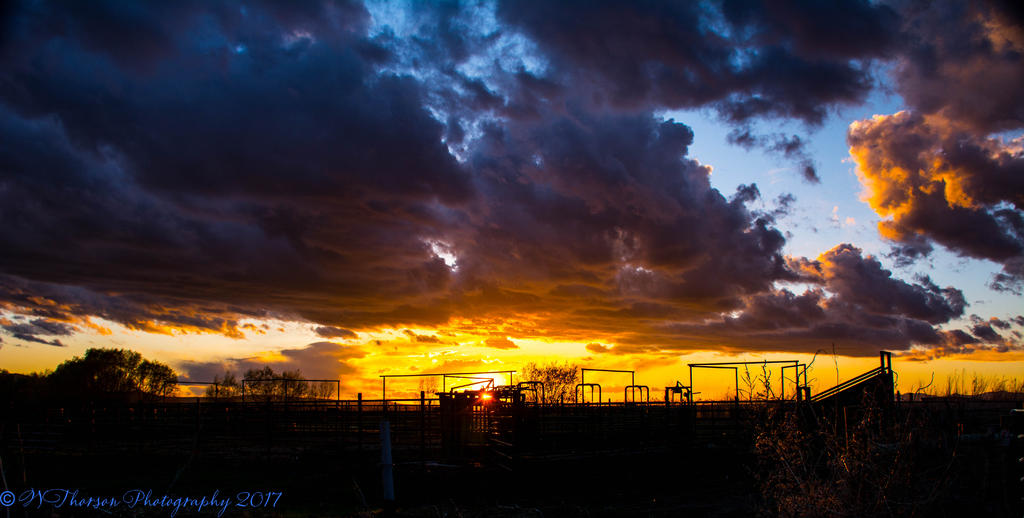 Sunset #1 4-1-2017.jpg