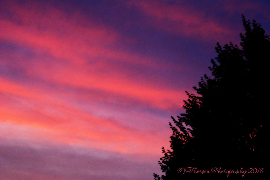 Sunset #1 8-22-2016.jpg