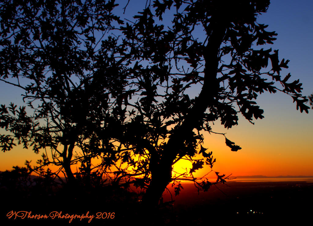 Sunset 10-11-2016.jpg