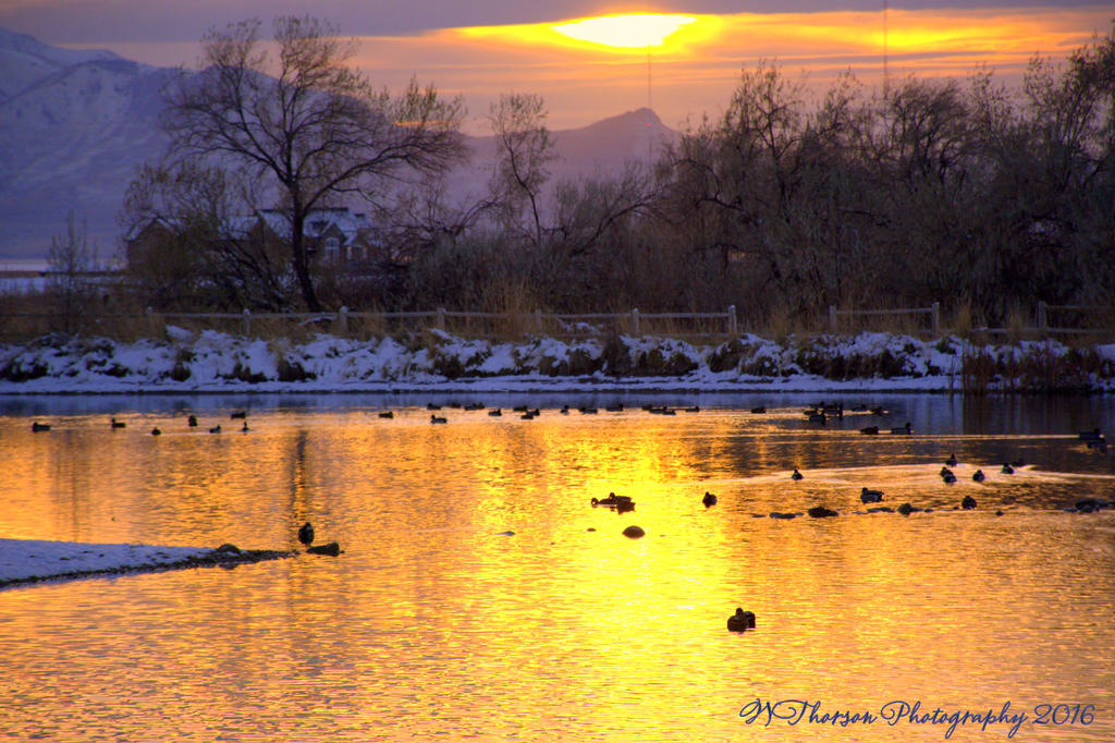 Sunset 11-30-2016.jpg