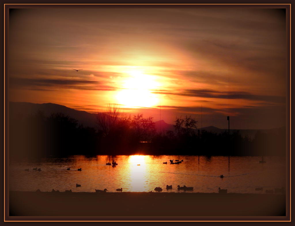 Sunset 12-05-2014.jpg
