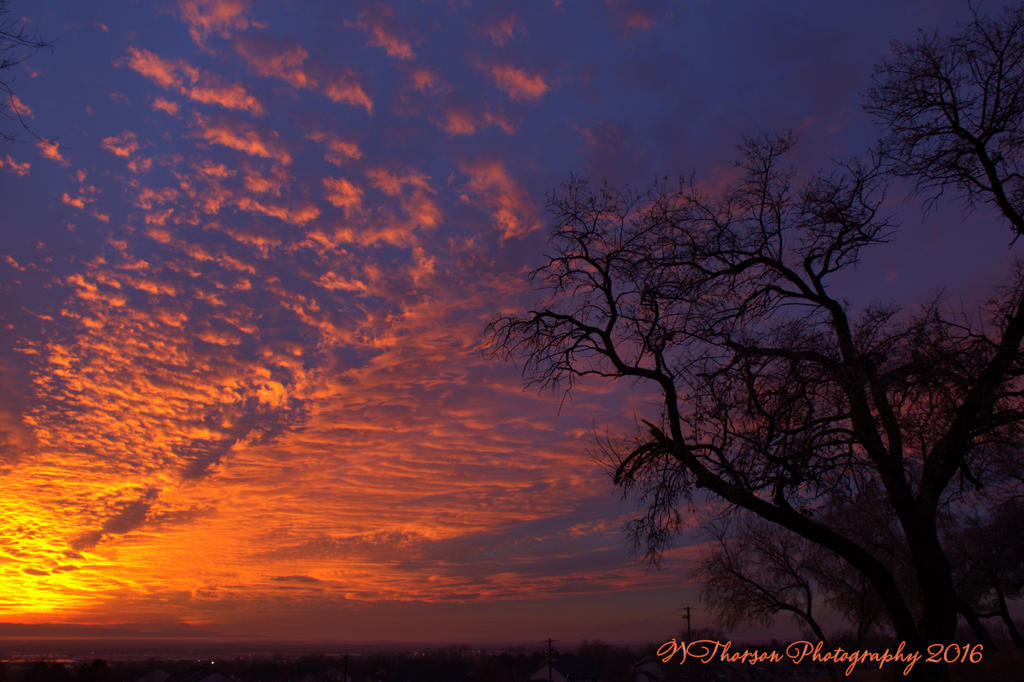 Sunset #2 12-20-2016.jpg