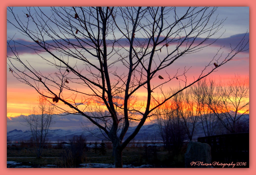 Sunset 2-15-2016.jpg