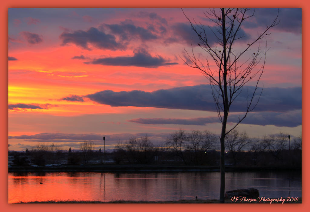 Sunset #2 2-15-2016.jpg