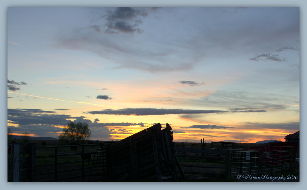 Sunset #2 4-10-2016.jpg