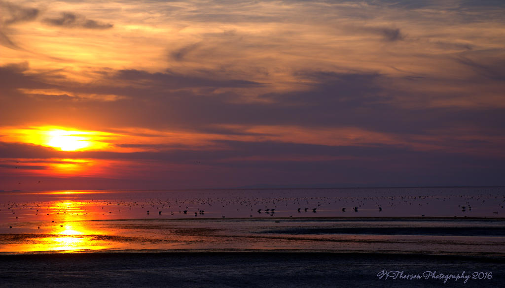 Sunset #2 8-13-2016.jpg