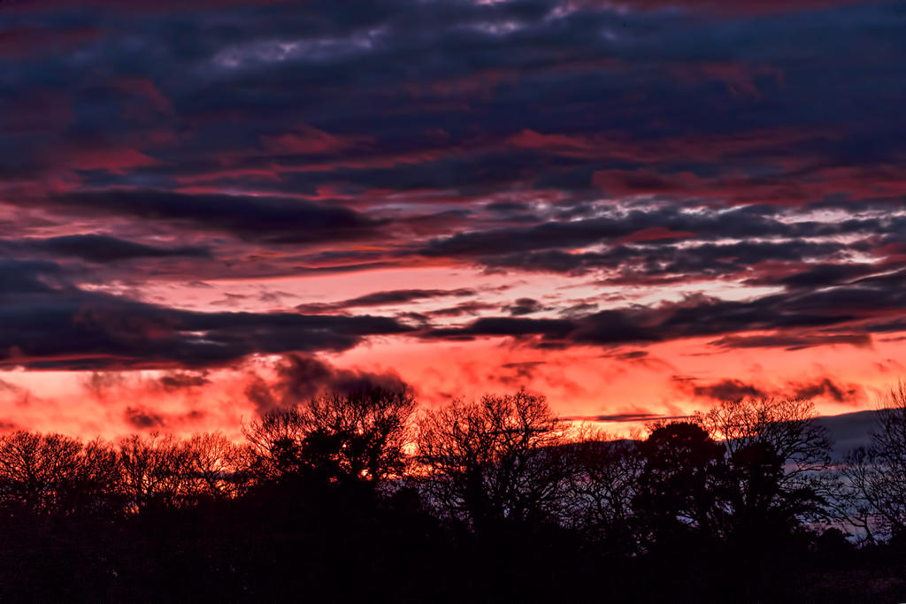 sunset-21.jpg
