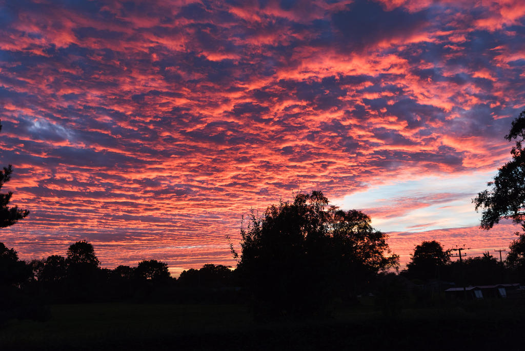 Sunset-270916.jpg