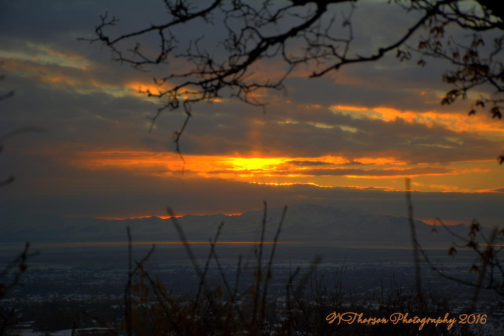 Sunset #3 12-1-2016.jpg