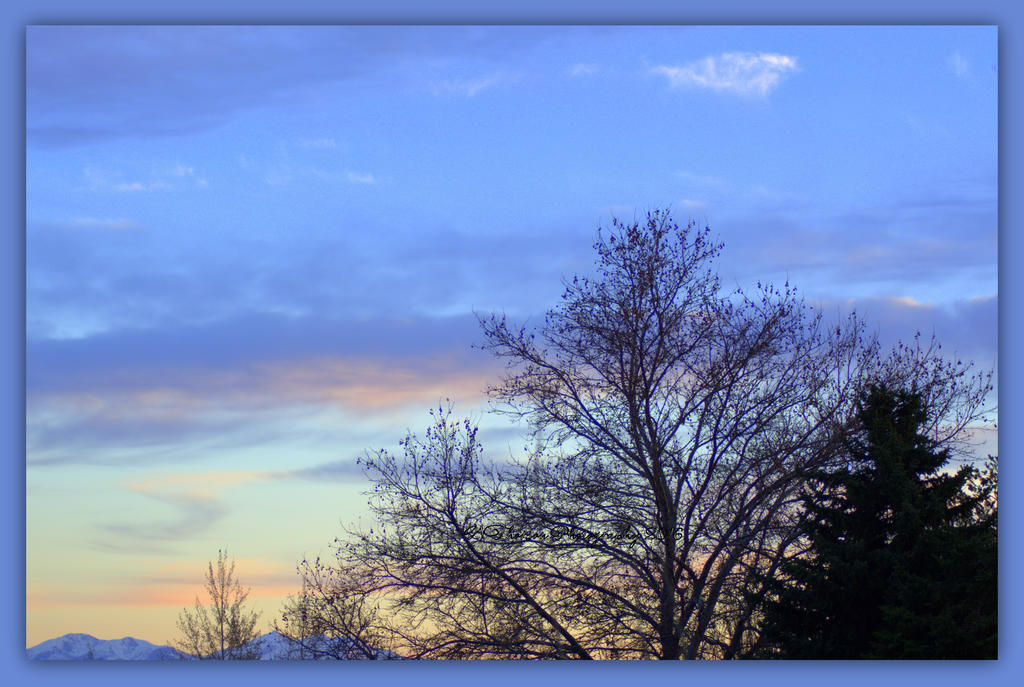 Sunset 3-18-2016.jpg