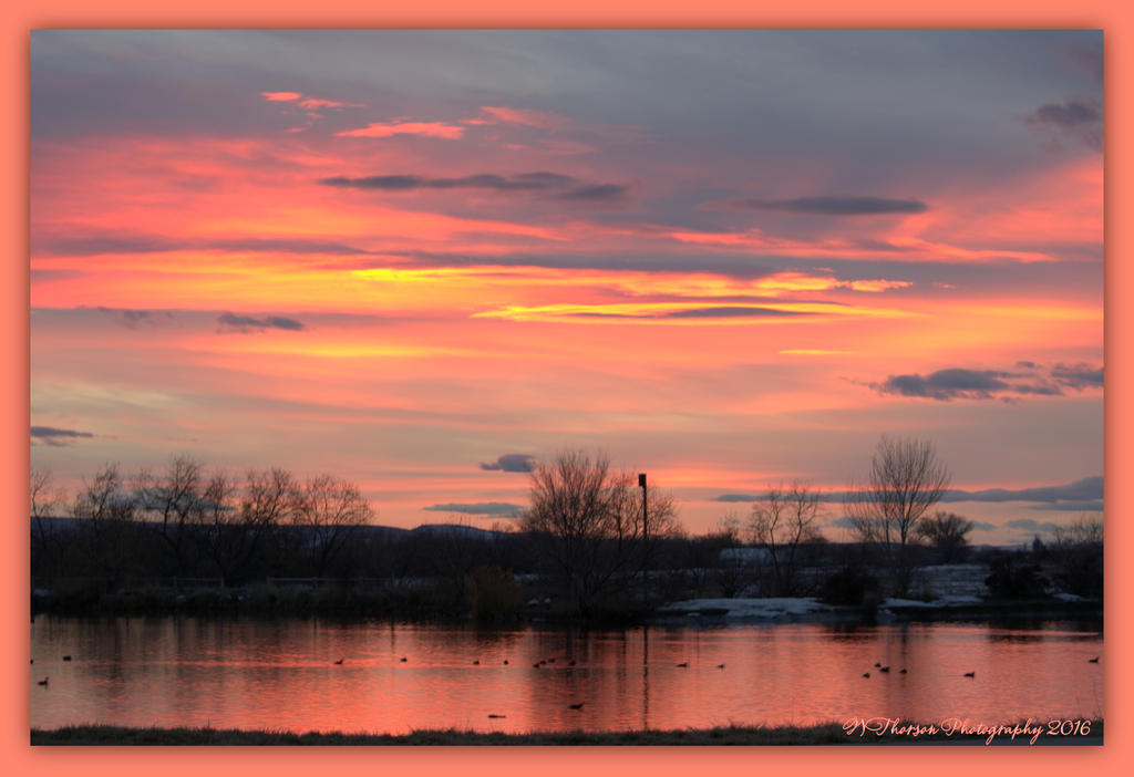 Sunset #3 2-15-2016.jpg