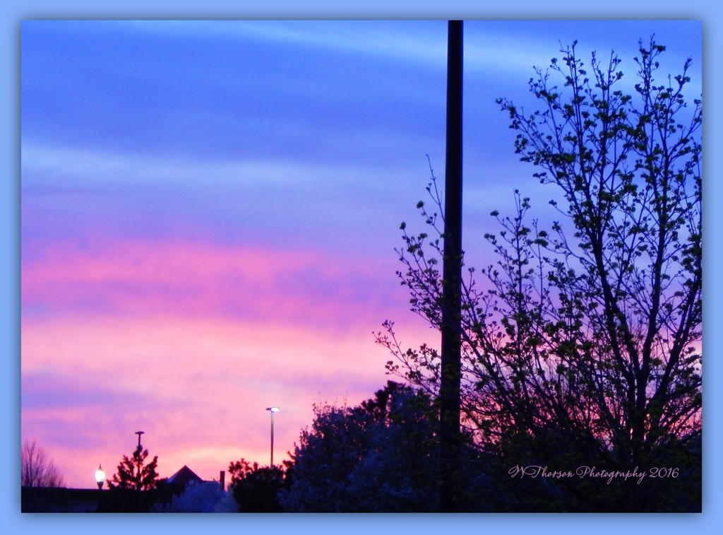 Sunset #3 4-8-2016.jpg